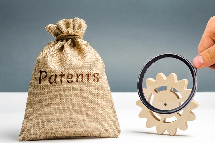 Patent Hakkı Elde Etme - Pamir Patent