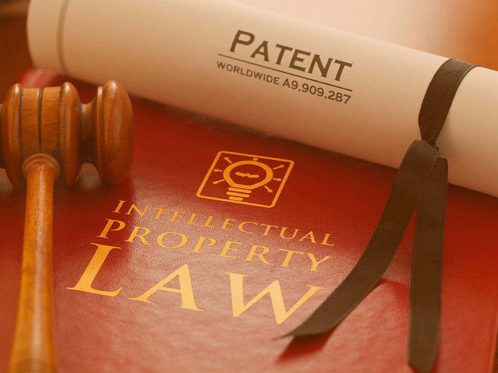 Patent Hakkı Nedir? - Pamir Patent
